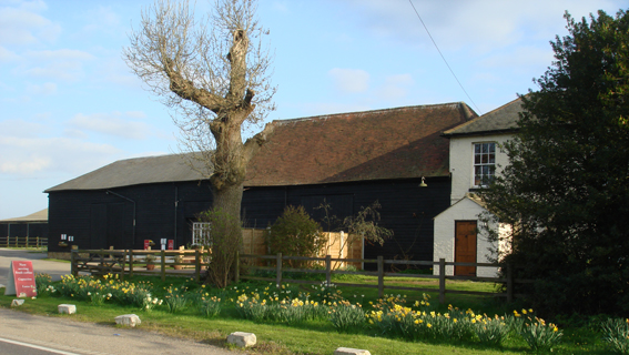 Ferny Hill Farm