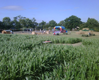 Ferny Hill Farm Maize Maze